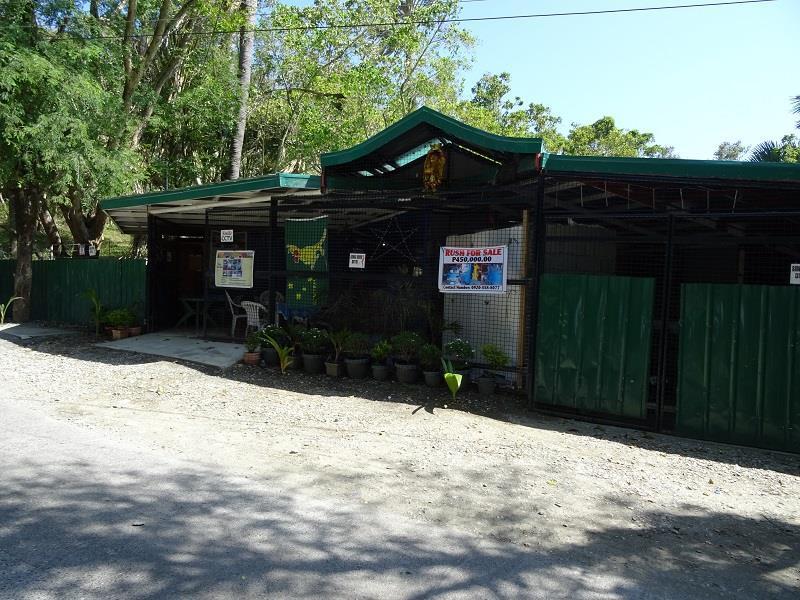 Happy Buddha Inn ปูแอร์โตกาเลรา ภายนอก รูปภาพ